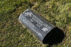 Individual & Companion memorials  in Cleveland, Ohio